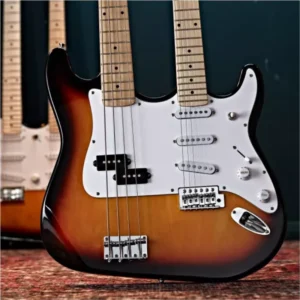 STRINGED INSTRUMENTS