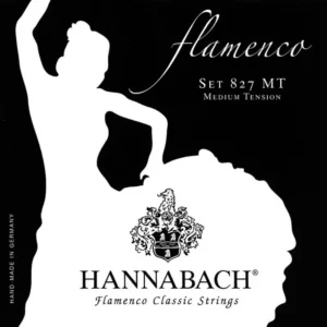The Hannabach Classical Guitar strings are an excellent accompaniment to any classical guitar. Since 1869 Hannabach has been making the finest quality strings for the most demanding musicians. The right string for every style and need.
