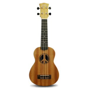* BRAND SPANKING NEW * Top: Sapele * Back & Sides: Sapele * Fretboard & Bridge: Sapele * Finish: Satin + BLACK PADDED BAG.