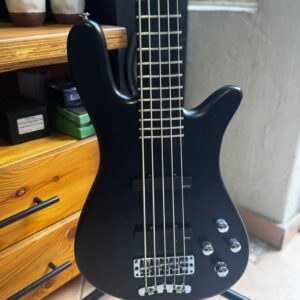 Warwick Artist Line Robert Trujillo 5 String Bass