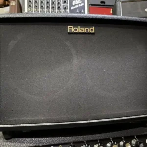 Roland AC-60 Acoustic Guitar Amp