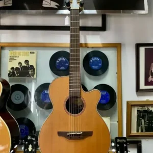 Takamine EAN30C
