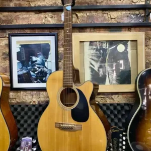 TAKAMINE G-SERIES EG22OSC