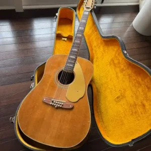 Fender Shenandoah